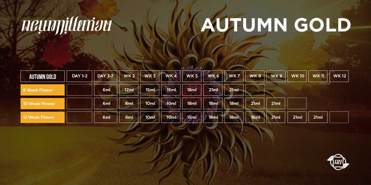 Autumn Gold ,Carb-o-naria feedchart