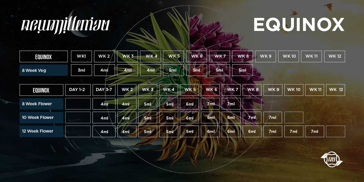 Equinox Feedchart